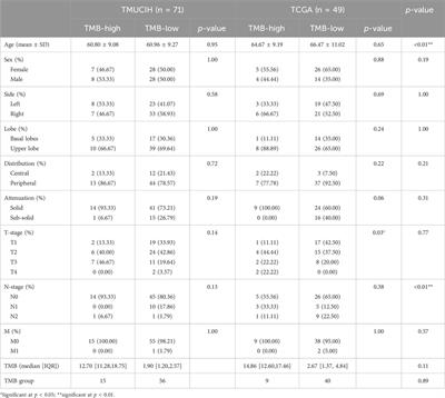 Development and validation of an interpretable radiomic signature for preoperative estimation of tumor mutational burden in lung adenocarcinoma